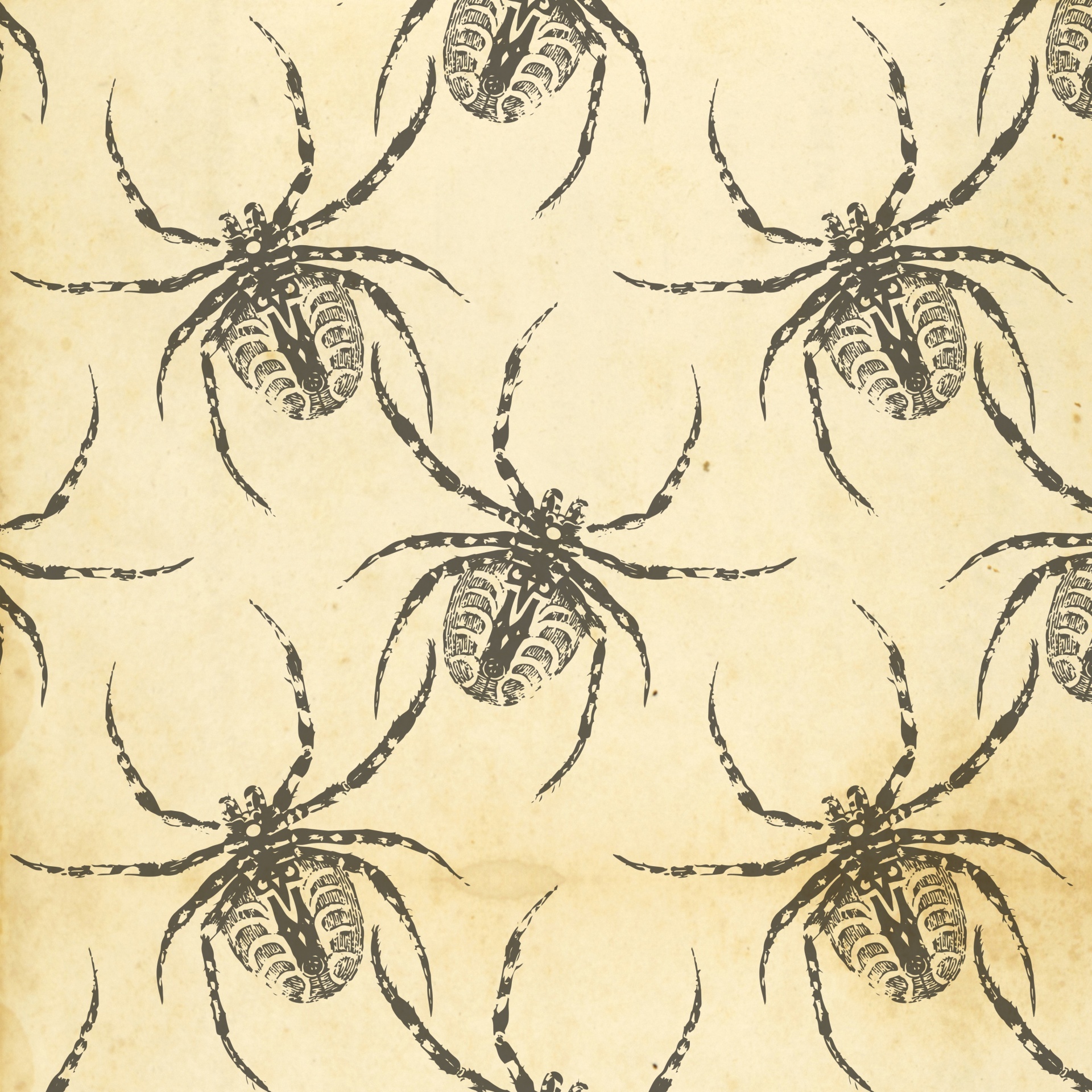 蜘蛛背景壁纸
