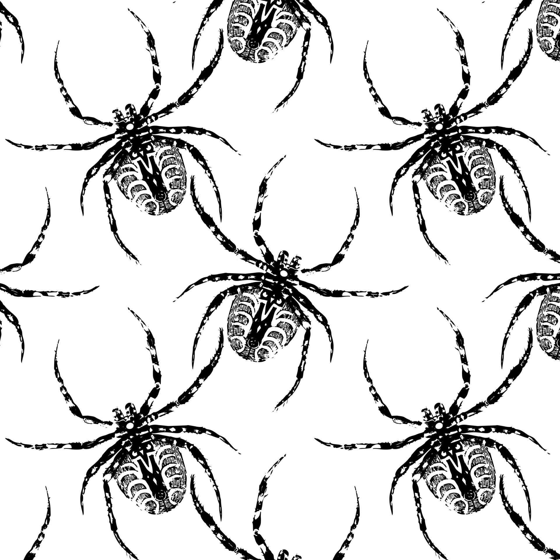 Spider Wallpaper Background