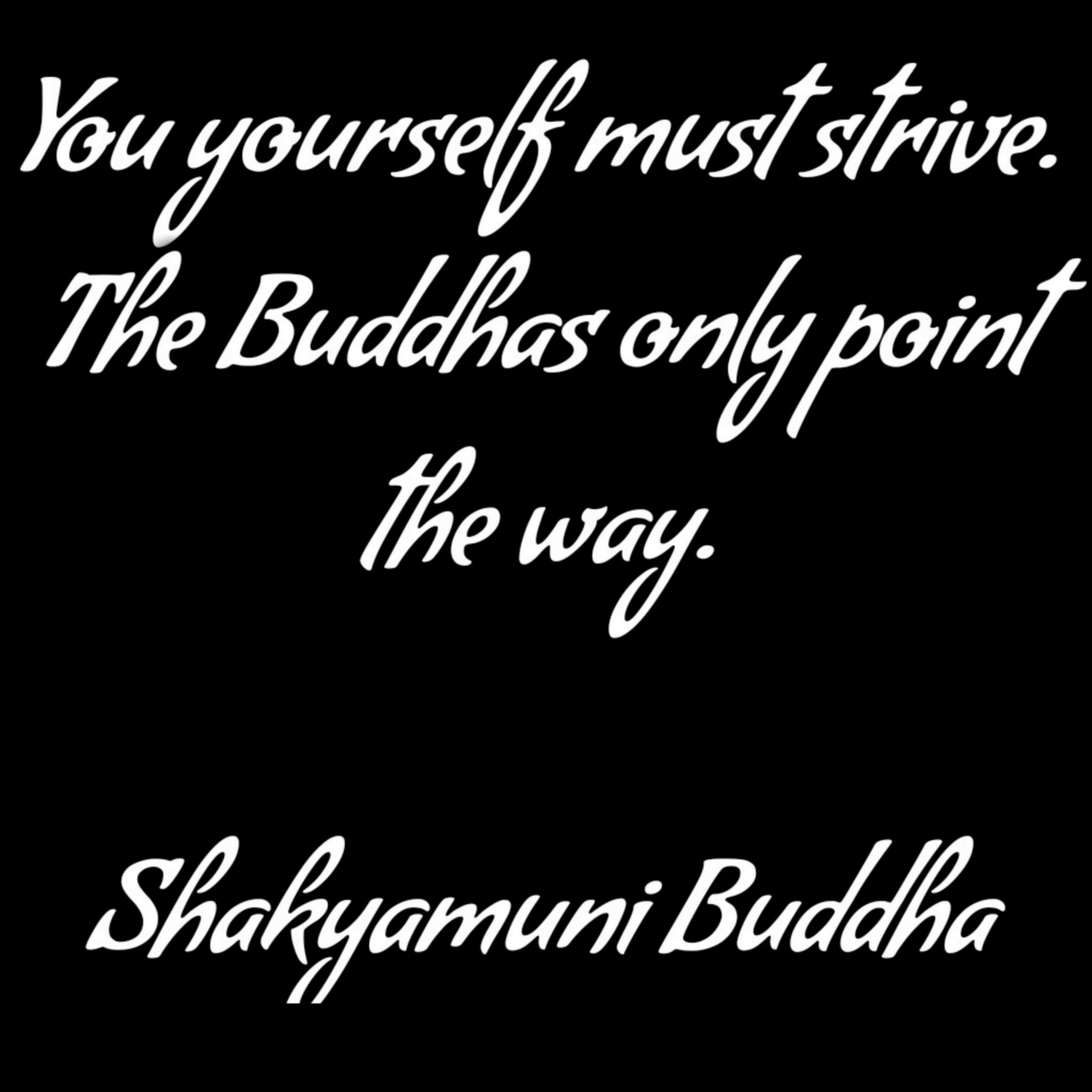 De boeddha's wijzen alleen de weg