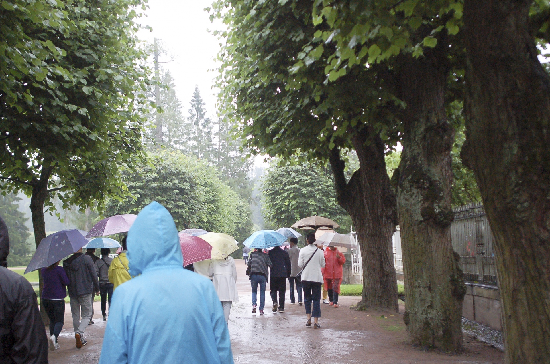 Toeristen met paraplu's in de regen