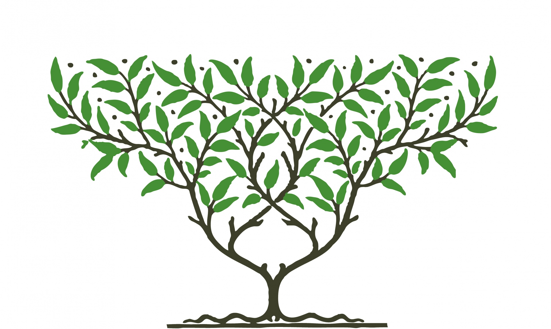 Tree Clipart Illustration Free Stock Photo Public Domain Pictures