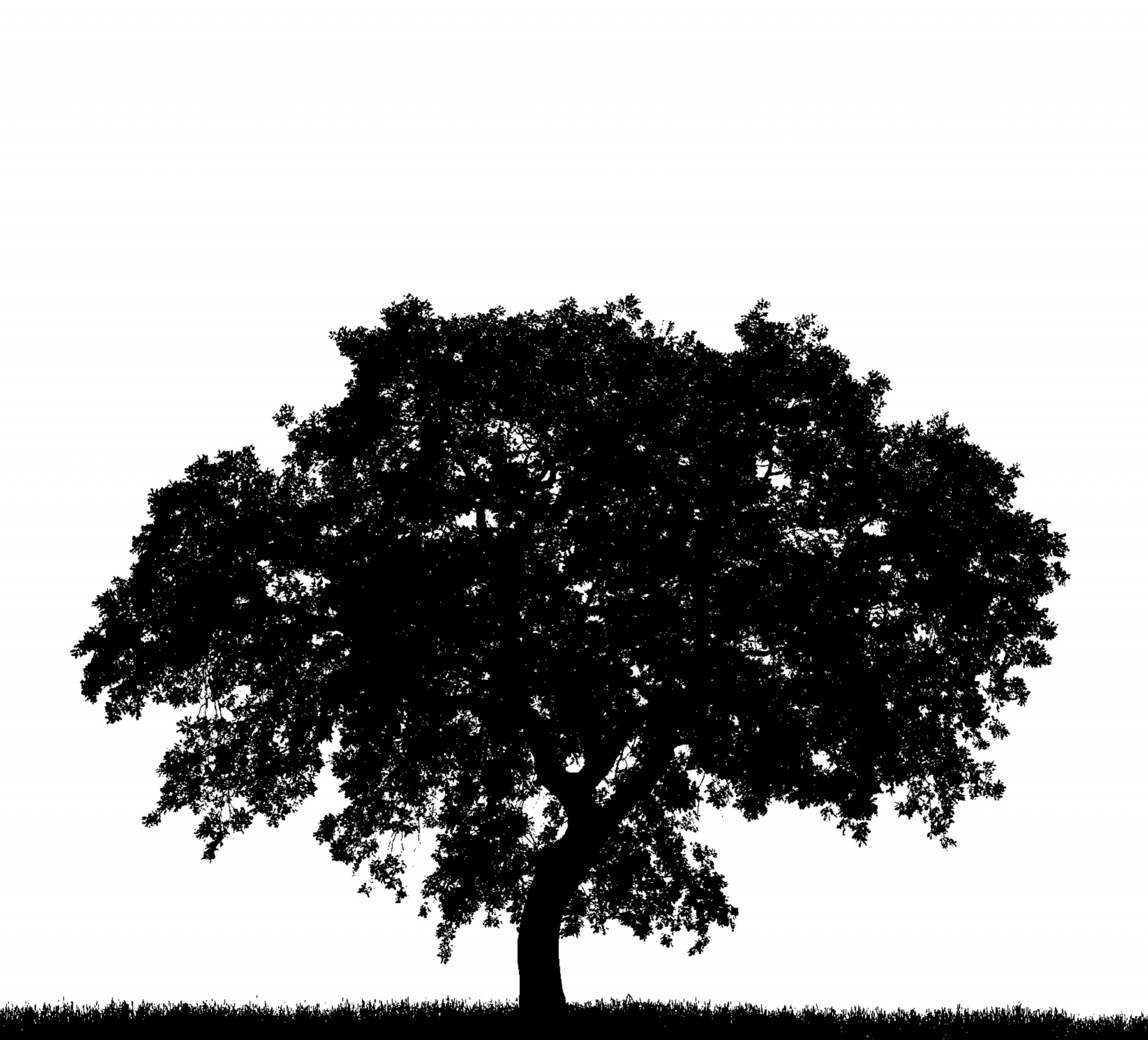 Träd Silhouette Clipart