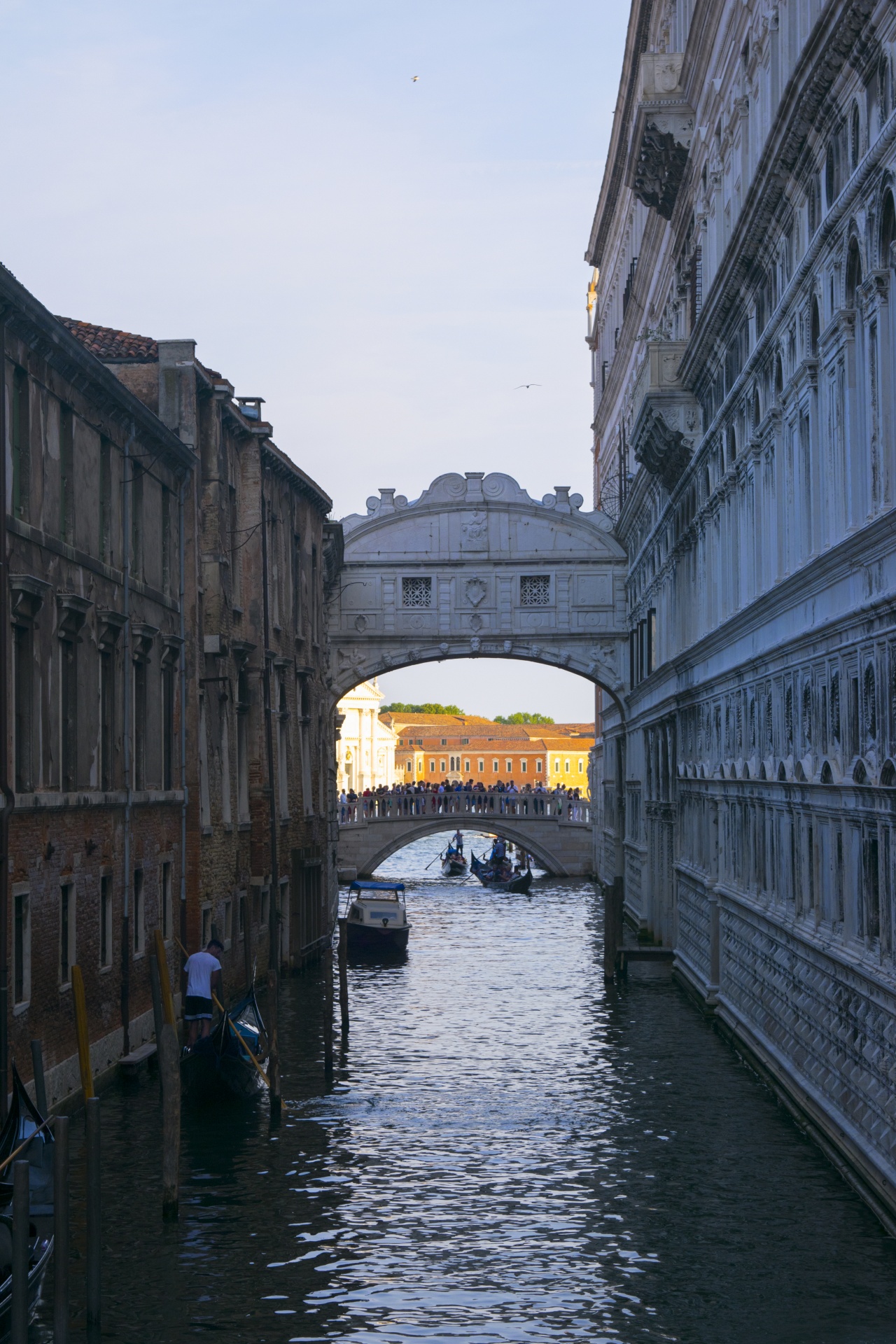 Venice Image 1320