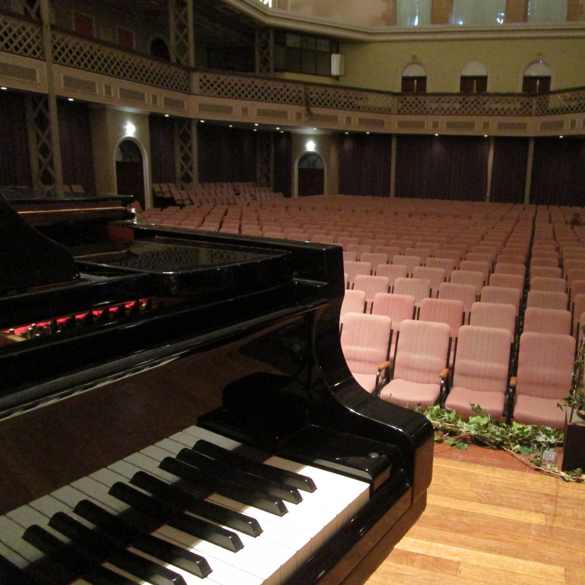 View Hall From Piano