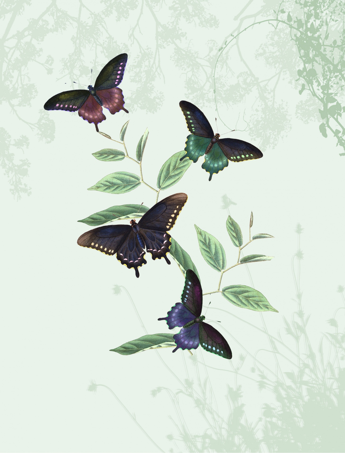 Vintage vlinders achtergrond 2