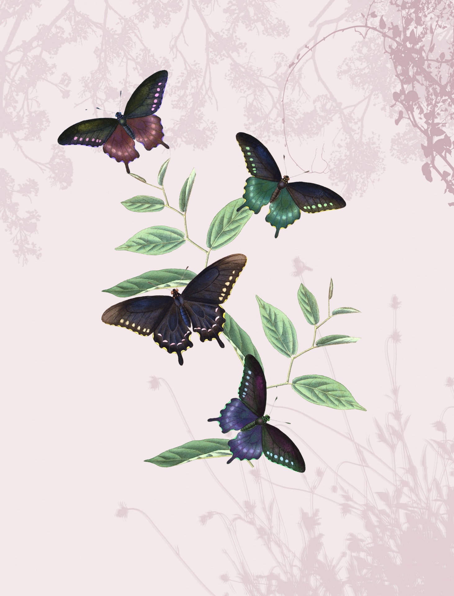 Vintage vlinders achtergrond 3