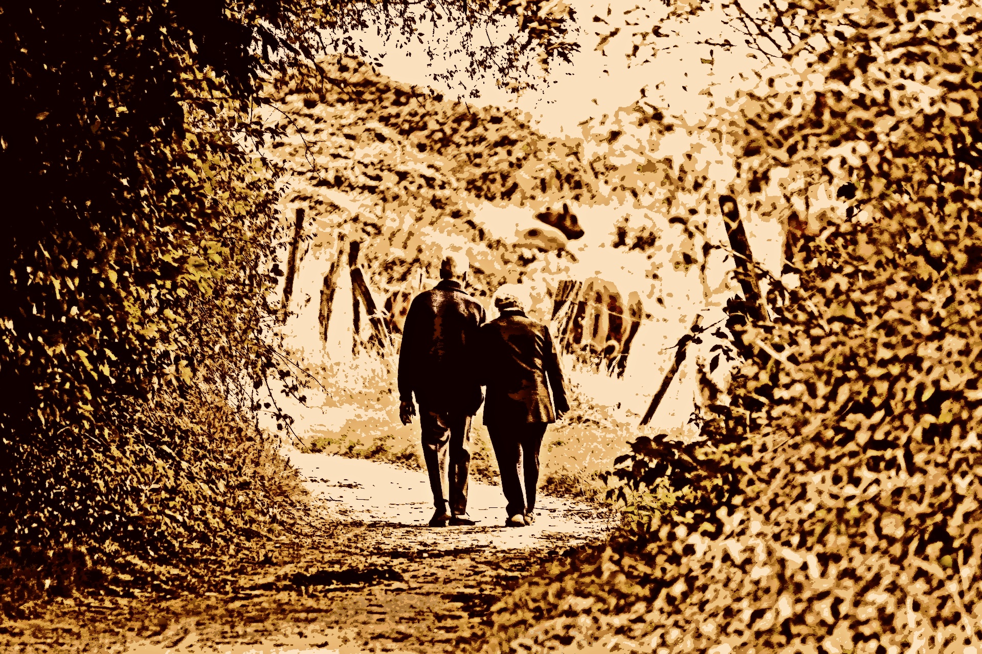 Walking Couple