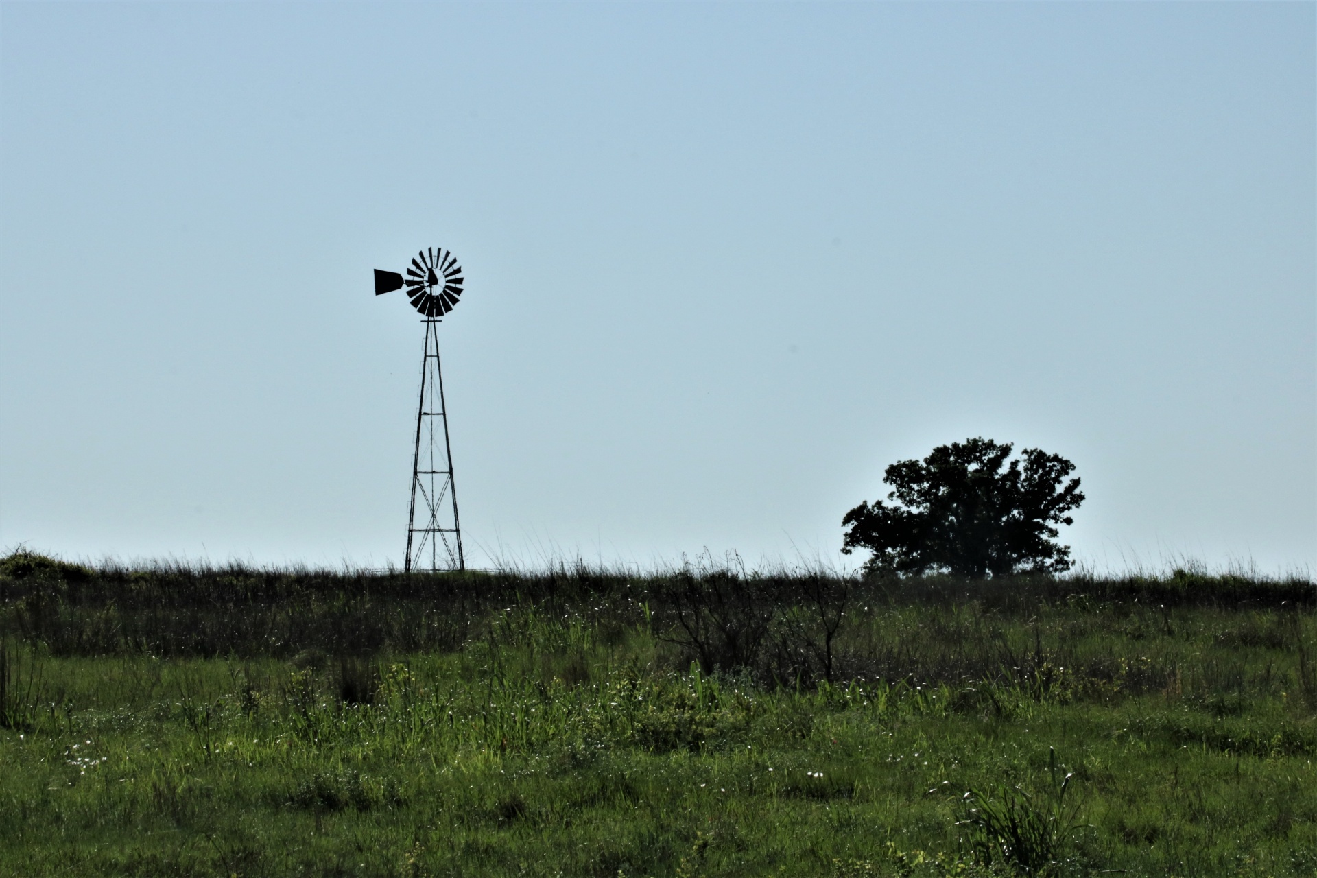 Windmill And Tree In Green Field