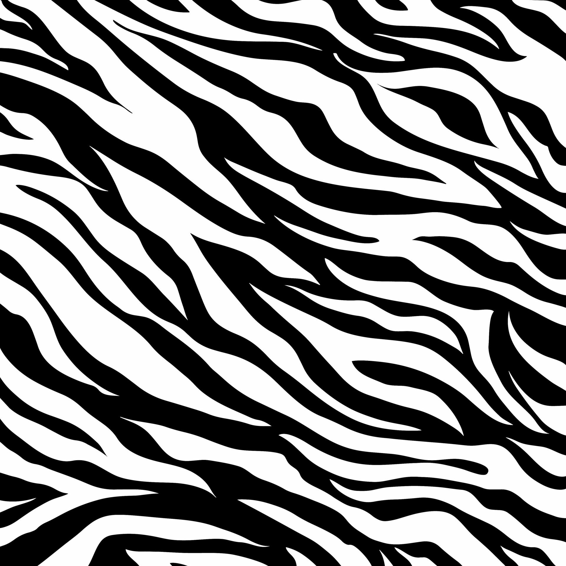 Zebra Skin Pattern Print