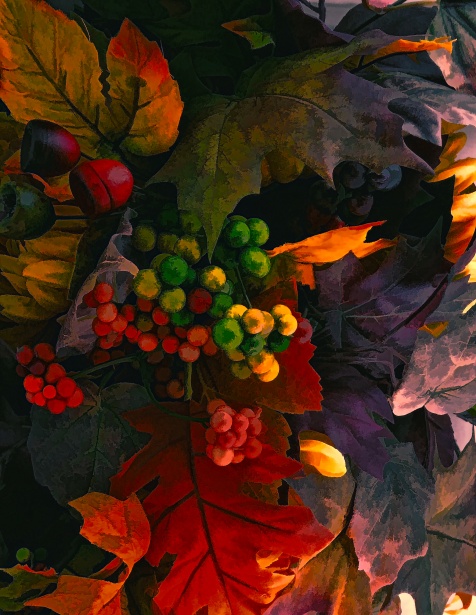 Frunze De Toamnă și Fructe De Padure Poza Gratuite Public Domain