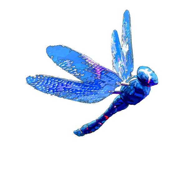 Dragonfly Cartoon Free Stock Photo - Public Domain Pictures