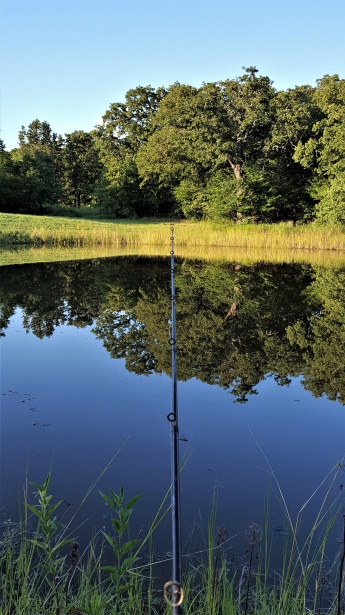 Fishing Pole At Farm Pond Free Stock Photo - Public Domain Pictures