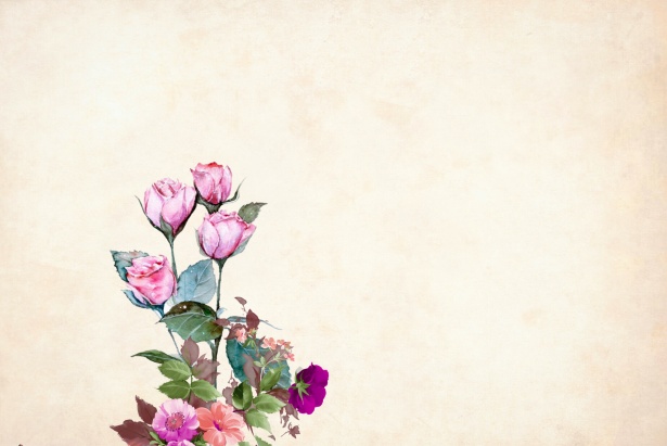 Flower Background Free Stock Photo - Public Domain Pictures