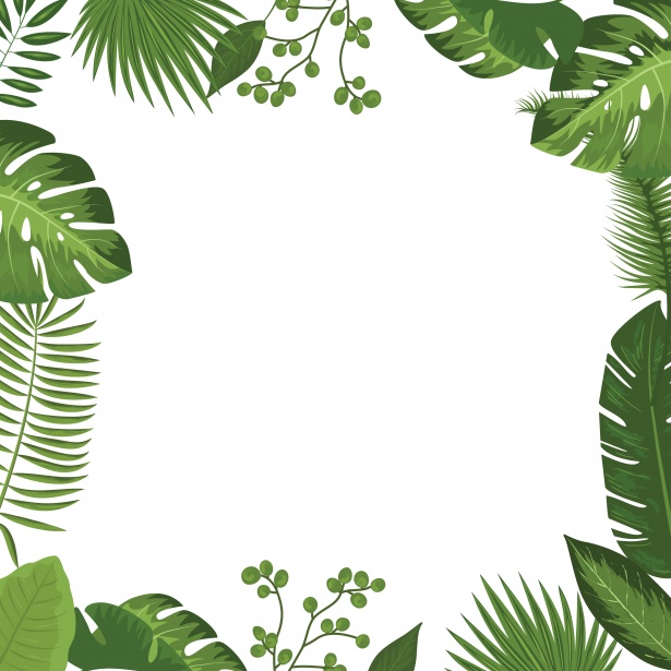 Palm Leaves Tropical Frame Free Stock Photo - Public Domain Pictures