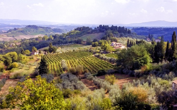 Résultat de recherche d'images pour "vins toscane"