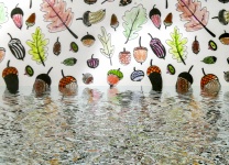 Acorns And Leaves Falling In Water