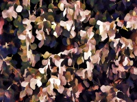 Artistic Eucalyptus Leaves