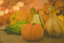 Autumn gourds and pumpkins