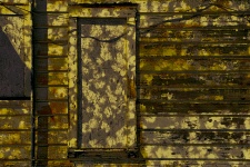 Autumn Grunge Door