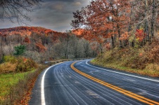 Curva da estrada do outono