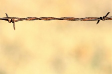 Barbed Wire Background 2