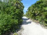 Beach Trail In Cancun