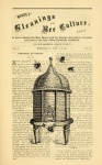 Ilustração Vintage Beehive