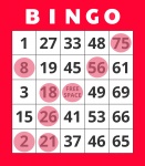 Tarjeta ganadora de Bingo