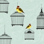 Bird Cage Retro Background