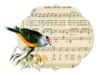 Folha de música do vintage do pássaro