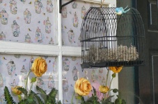 Birdcage и Flowerbox