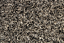 Black And Tan Abstract Background