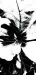 Superfície de folhas preto e branco