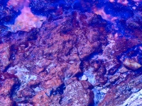 Blue Pink Terrain Background