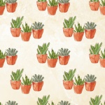 Cactus Potplanten Wallpaper