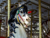 Karnawał Carousel Horse