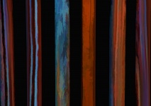 Cartooned Wood Poles Background