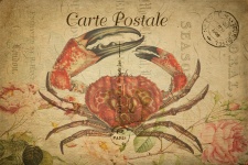 Cartão do vintage do caranguejo