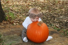 Cute Baby Biting Big Pumpkin