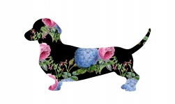Dachshund Dog Floral Pattern
