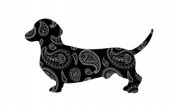 Silhouette di Paisley cane bassotto