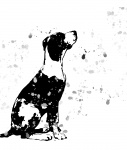 Dog Paint Splatter Illustration