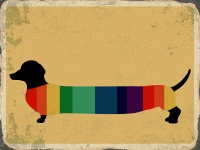 Perro Rainbow Stripes Retro