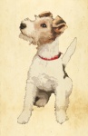 Hond Vintage fox-terrier