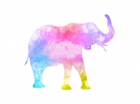 Elefant akvarellmålning färger