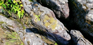 浸食された岩の表面