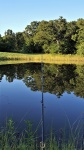 Fishing Pole at Farm Pond