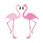 Ilustração Flamingo Clipart