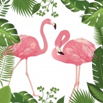 Flamingo trópusi levelek keret