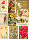 Collage vintage di cartoline floreali